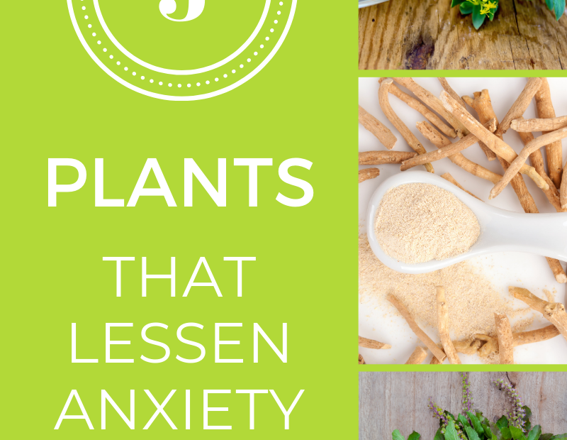 Herbs for anxiety (That REALLY work!)